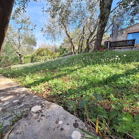 Penzion Dimora Nel Chianti San Sano Exteriér fotografie