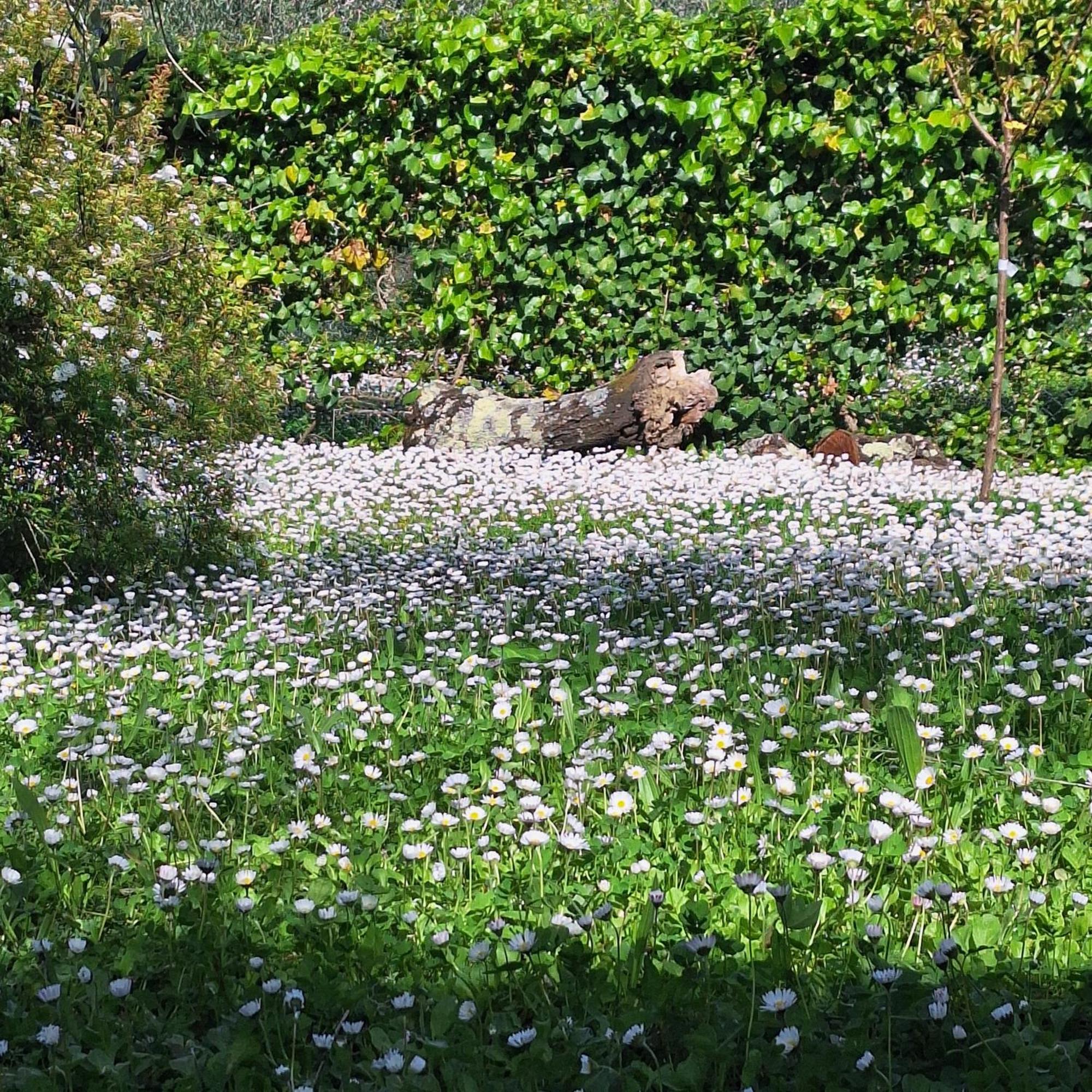 Penzion Dimora Nel Chianti San Sano Exteriér fotografie