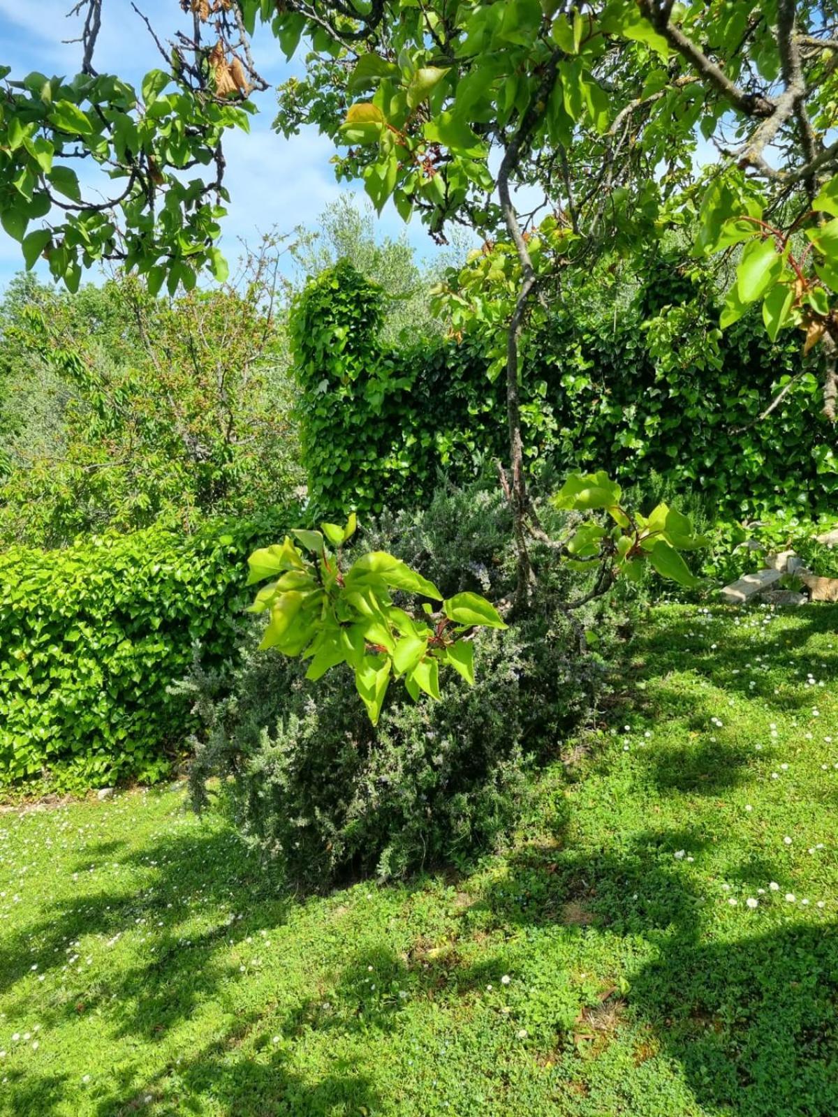 Penzion Dimora Nel Chianti San Sano Exteriér fotografie