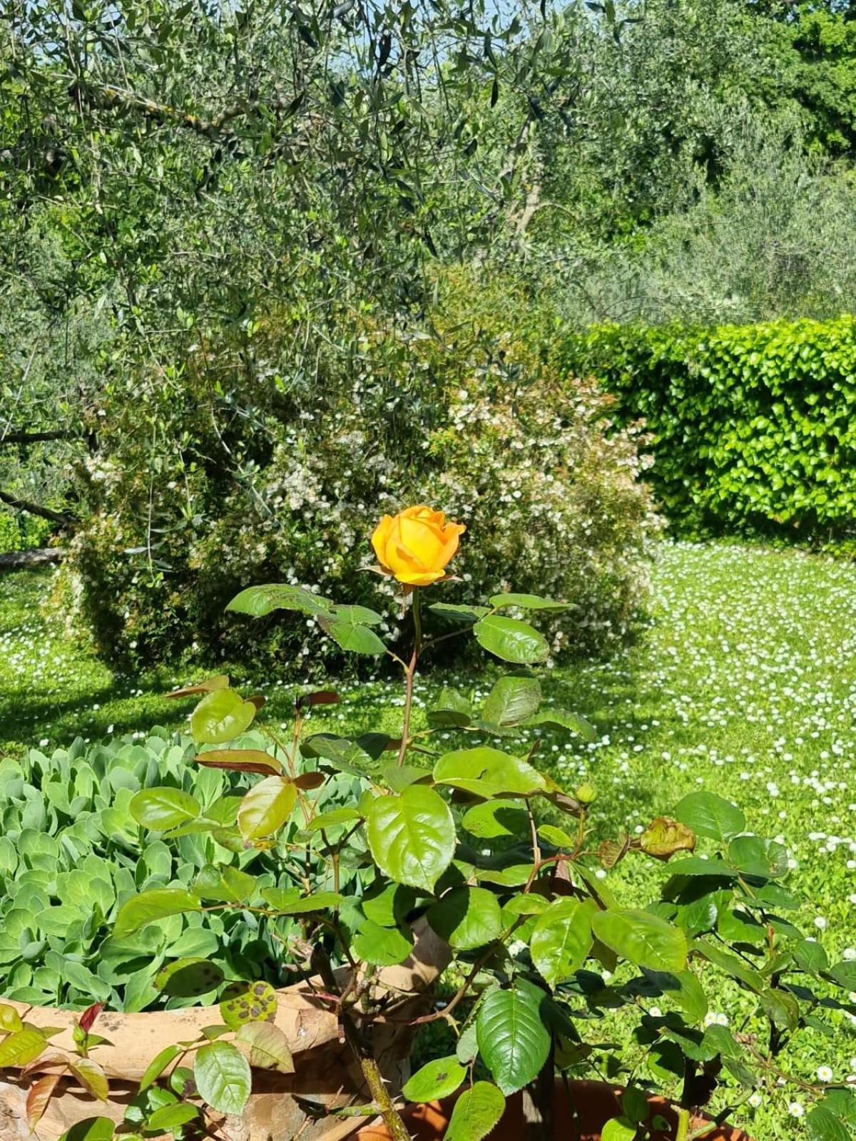 Penzion Dimora Nel Chianti San Sano Exteriér fotografie