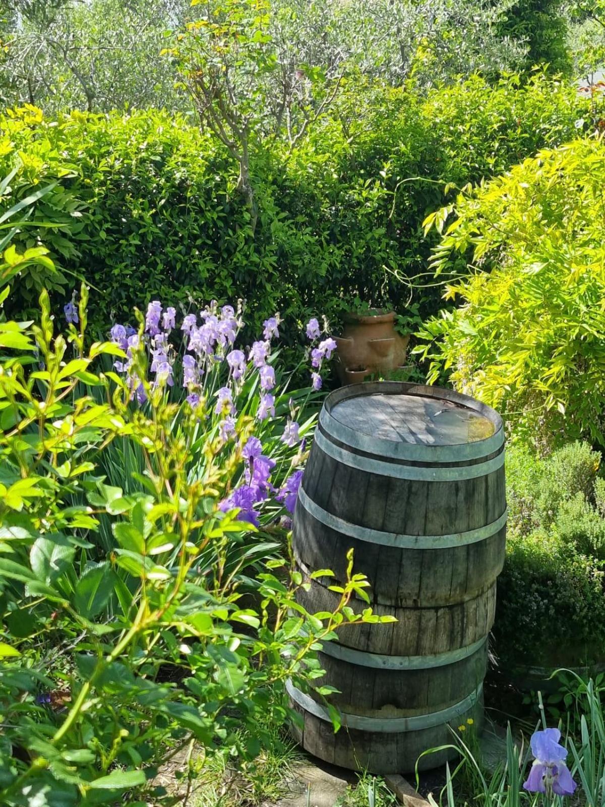 Penzion Dimora Nel Chianti San Sano Exteriér fotografie