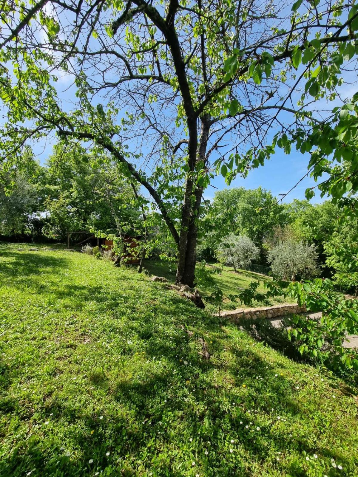 Penzion Dimora Nel Chianti San Sano Exteriér fotografie